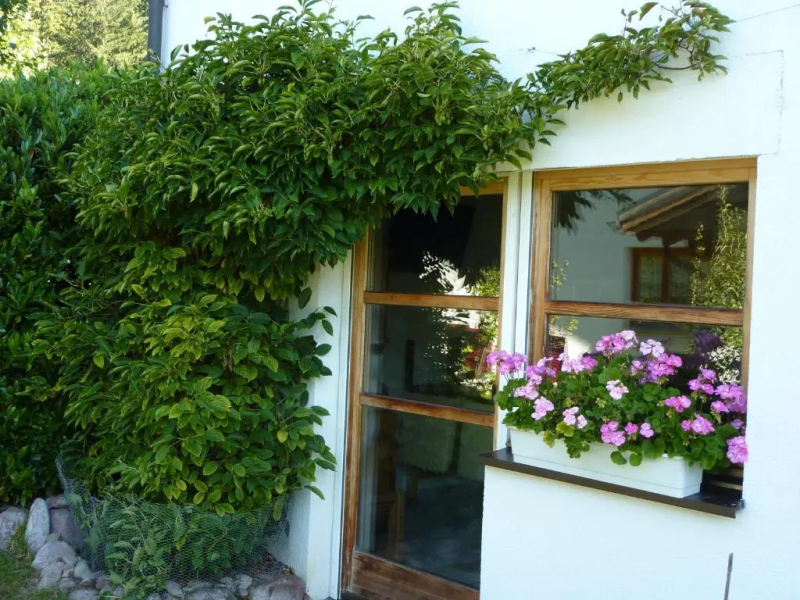Haus am Wasserfall