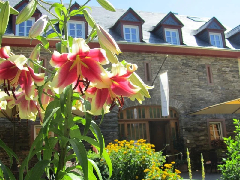 Juffer Flair Gästezimmer