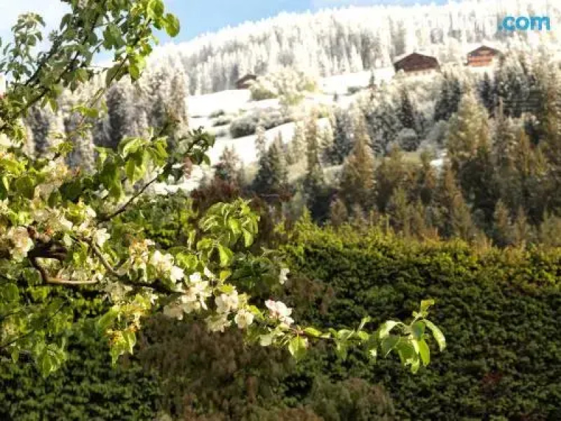 Haus Francazi Sillian