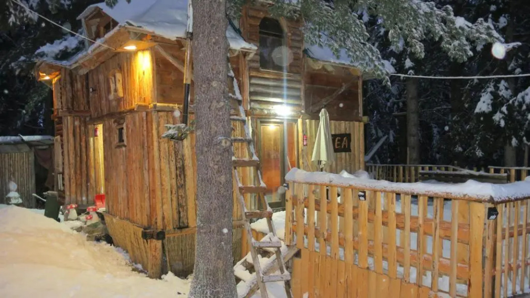 Lodge Between The Pine Trees