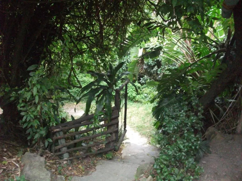 Delicious Monster Retreat and Restaurant