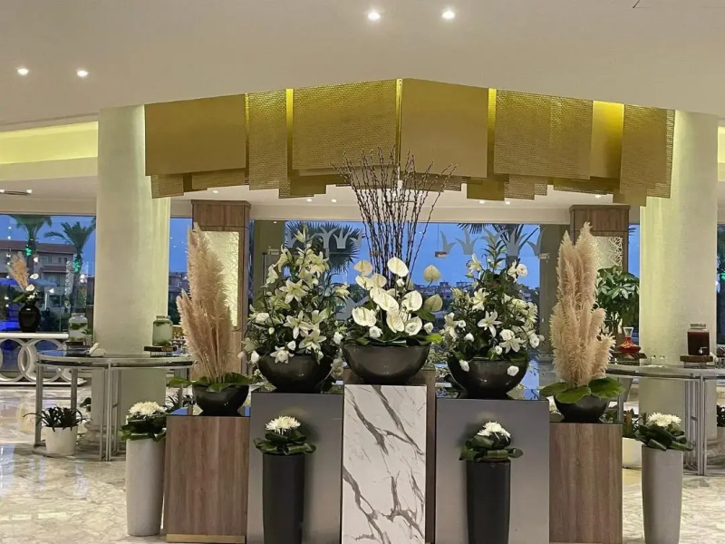 Ghazala Resort & Spa