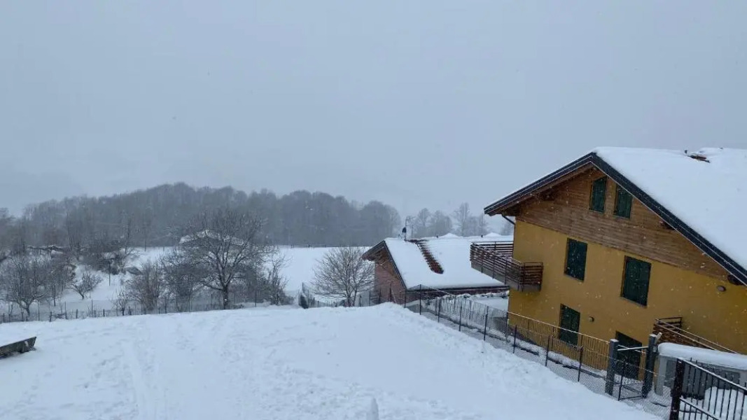 Cozy Apartment Barzio