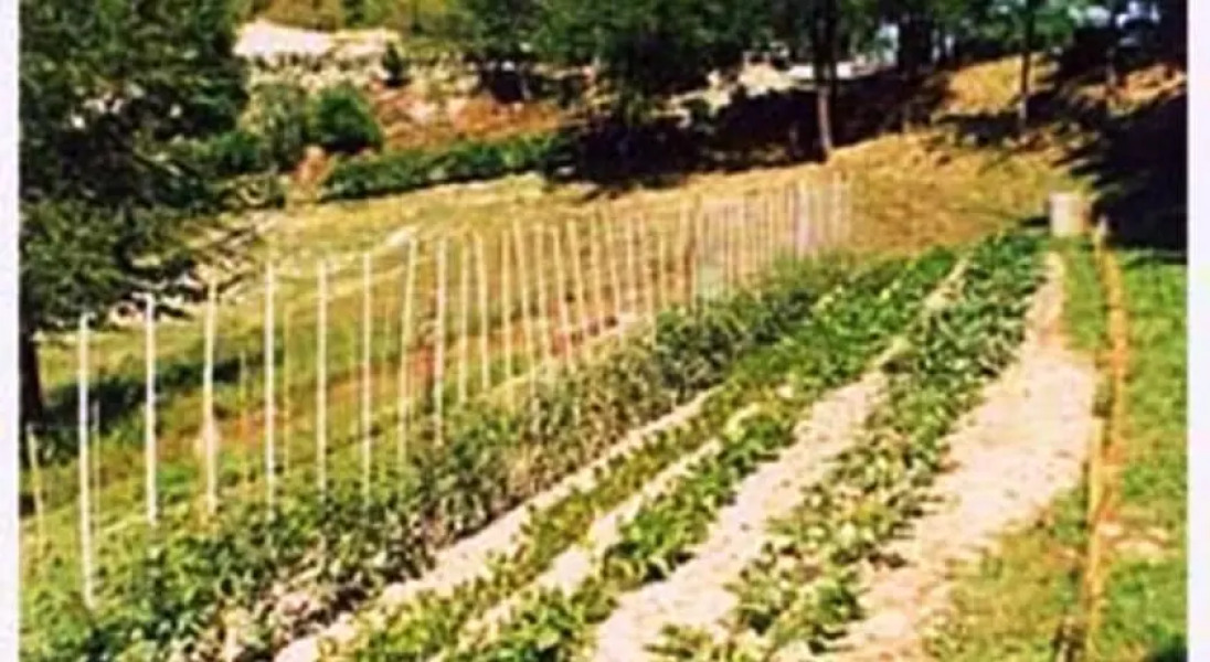 Agriturismo Il Burlino