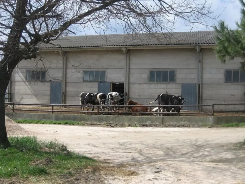 Agriturismo Casa Fibbianello