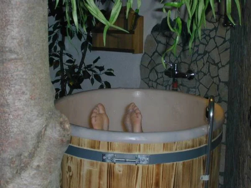 Wanderhotel Grüner Baum