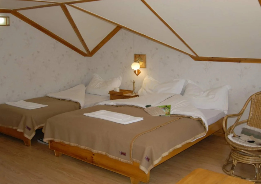 Everest Summit Lodge - Tashinga