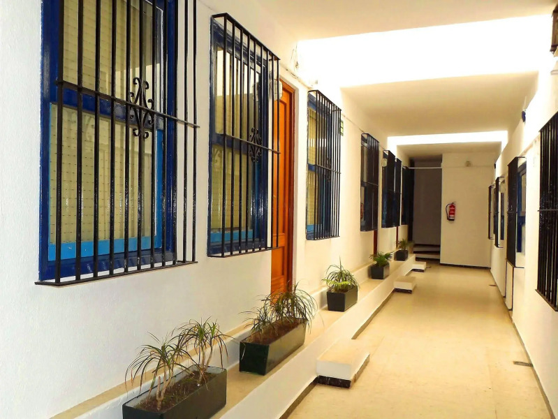 Apartamentos Calypso