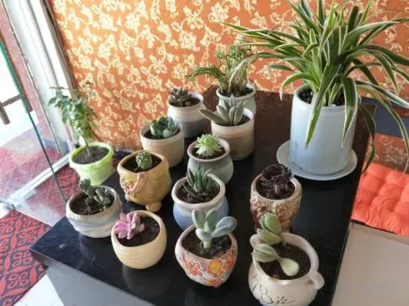 Seda is in the hotel