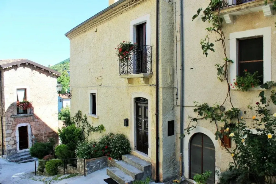 Orso - Parco Nazionale d'Abruzzo