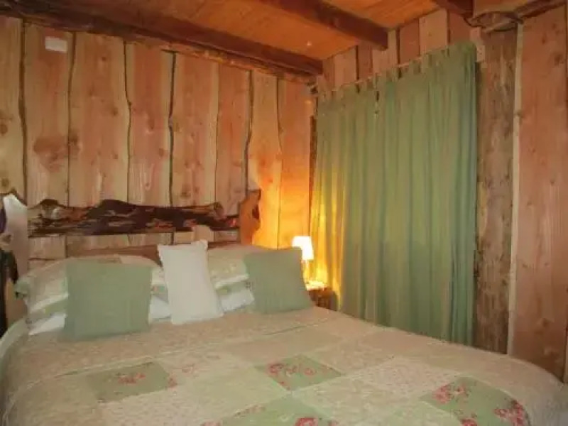 Cabañas Pehuen Neltume