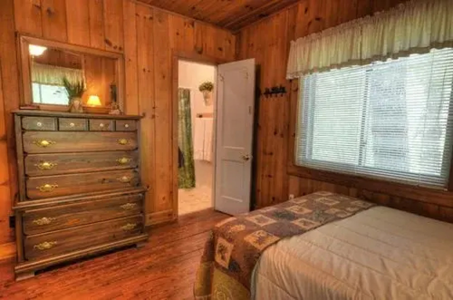 Nantahala Rafting Bear