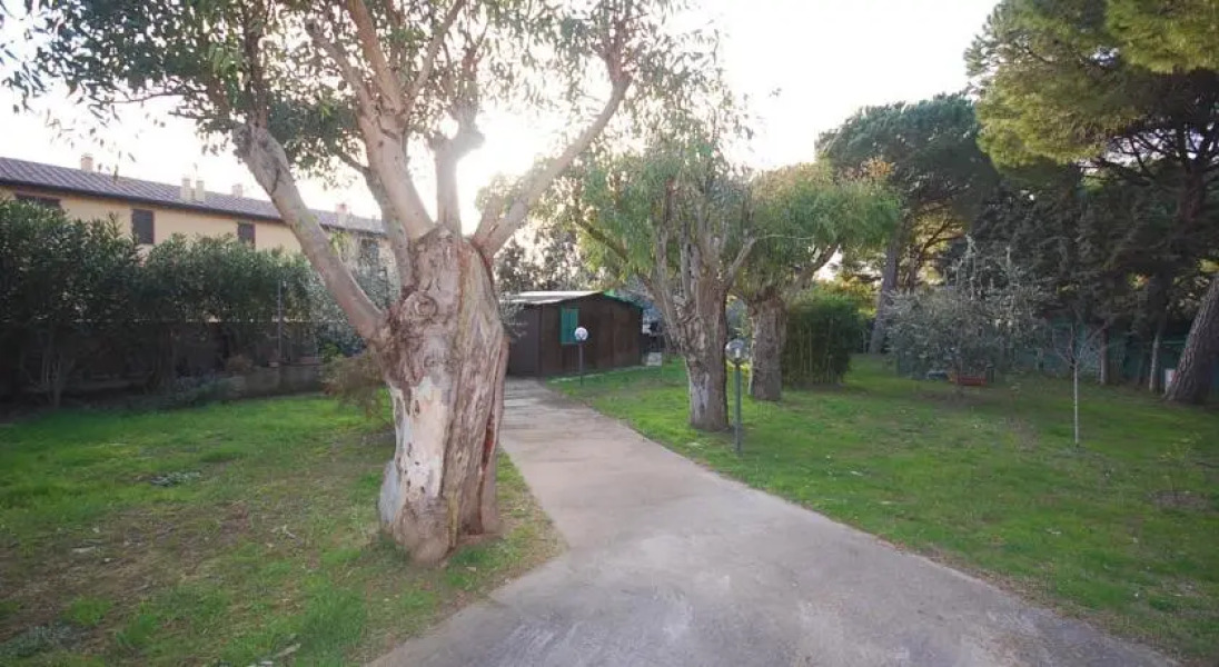 Le Palme di Carlappiano