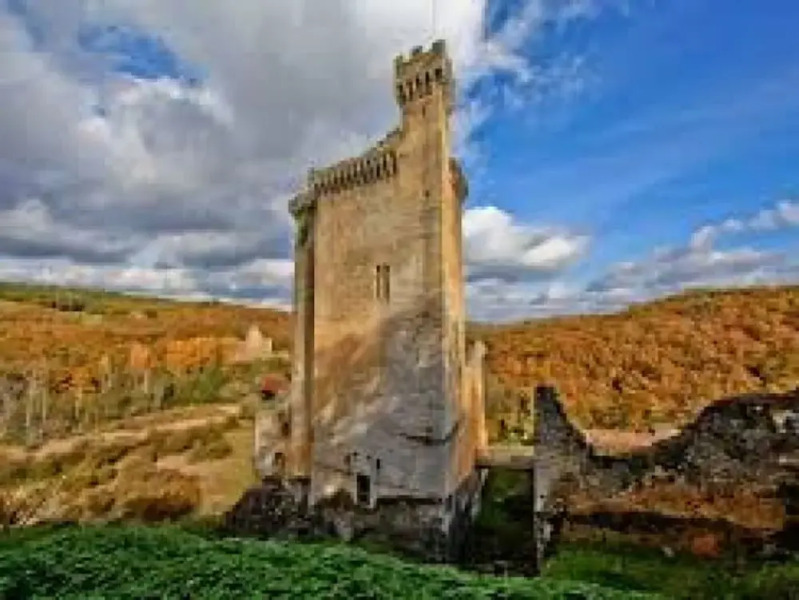 Domaine de la Rigaudie Gite les Morilles