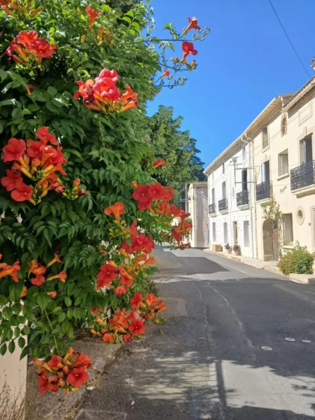 L'Oustal