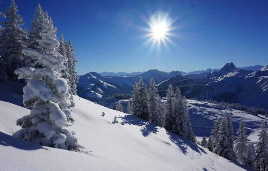 Apartment Neuhaushof