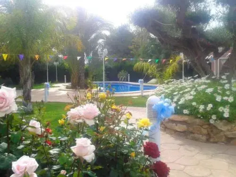 Apartment With 2 Bedrooms in Elche, With Pool Access, Furnished Terrace and Wifi - 6 km From the Beach