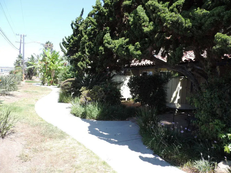 El Caminante Bar & Bungalows