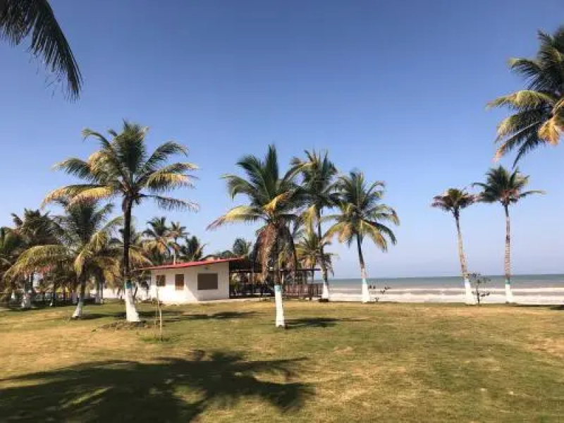 Coco Loco