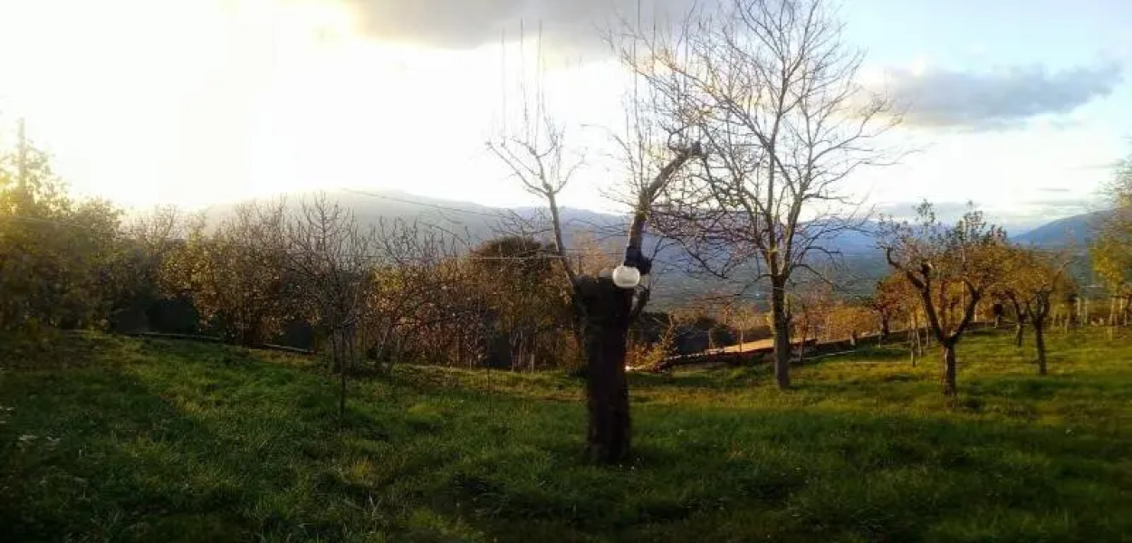 Casavacanze La Vigna