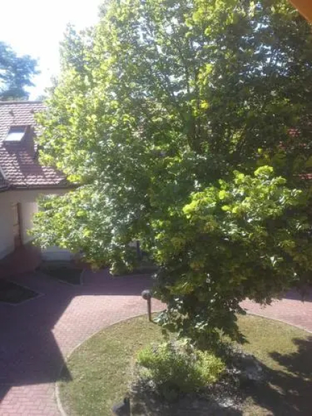 Apartment Nagelj