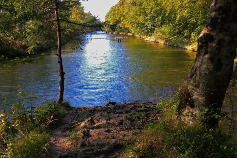 Ferienwohnung Gartenglück