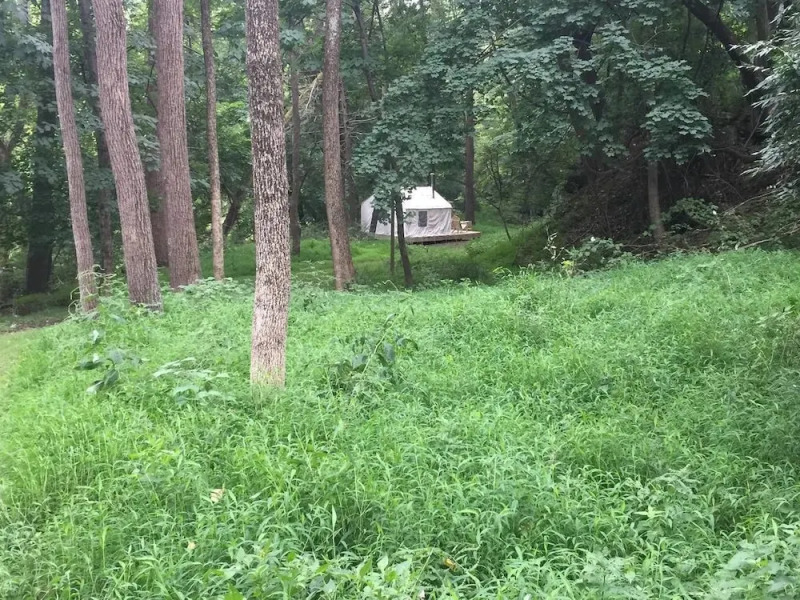 Tentrr - Sycamore Hill Farm Creekside