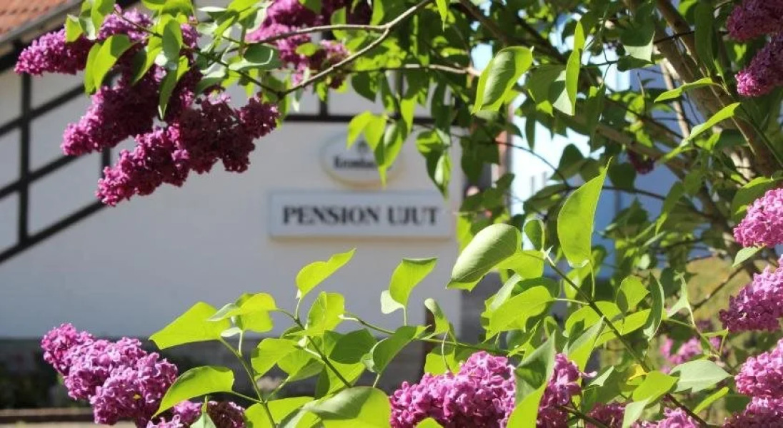 Pension Ujut