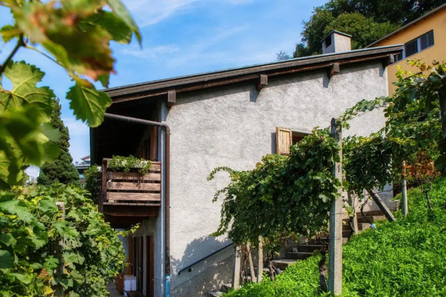 La Casa tra le Vigne