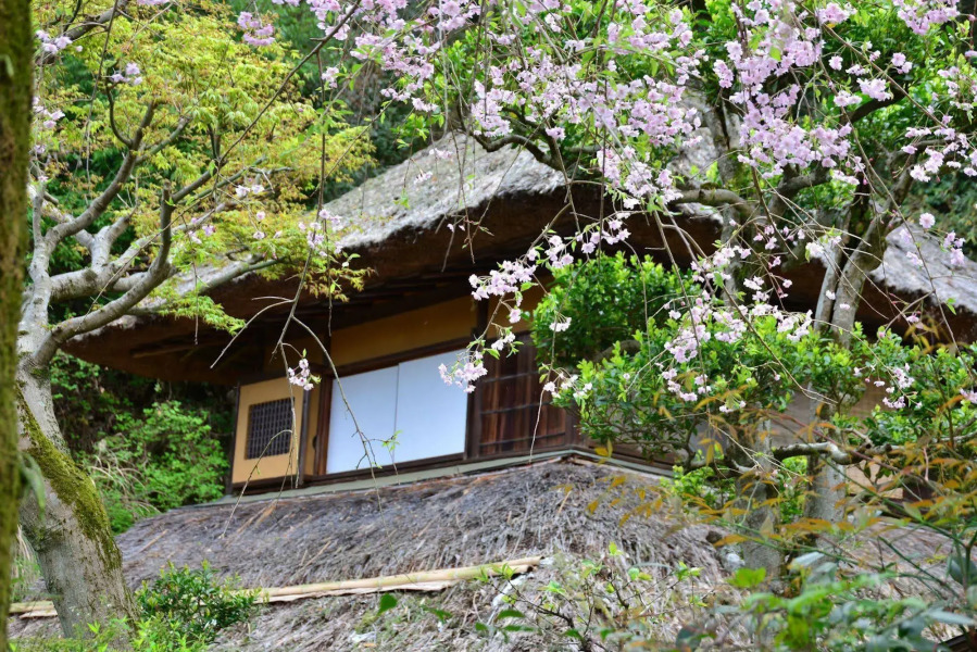 Izu Nagaoka-Onsen Hotel Kona Besso