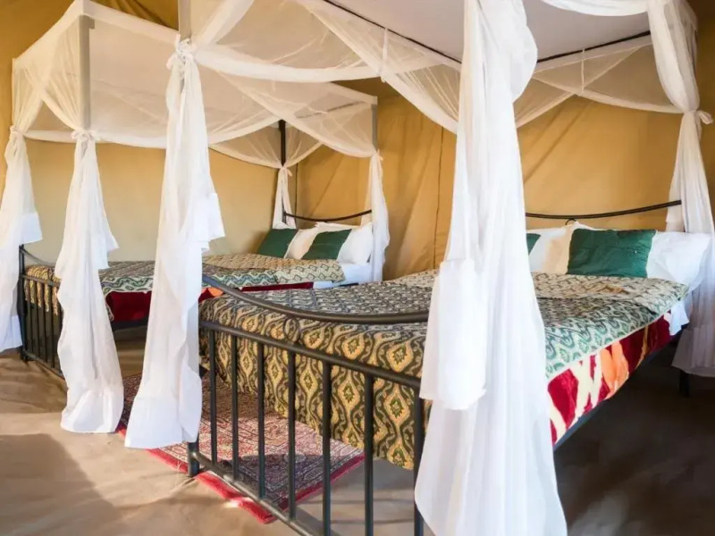 Serengeti Wildebeest Camp