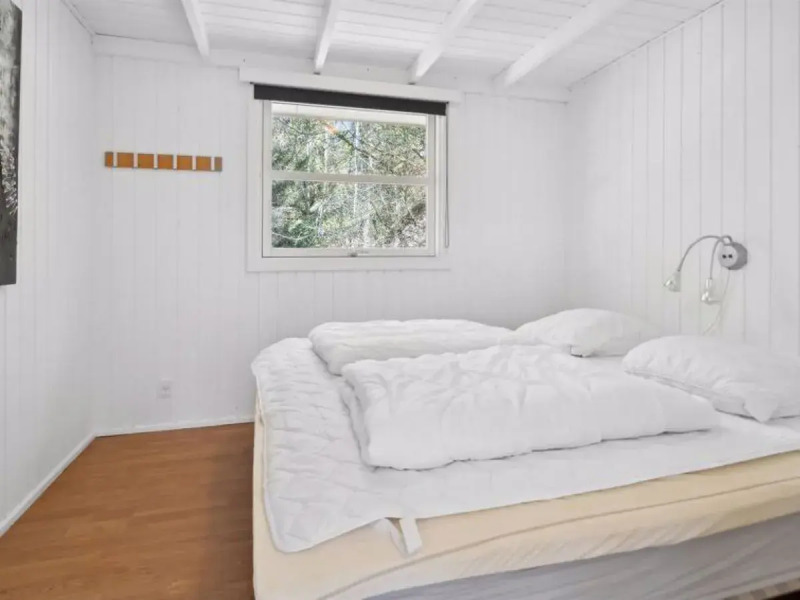 "Nicklas" - 2km from the sea in NE Jutland