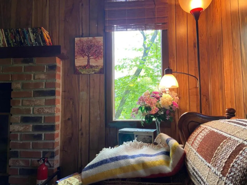 Saw Creek Cabin - Regent Hilltop