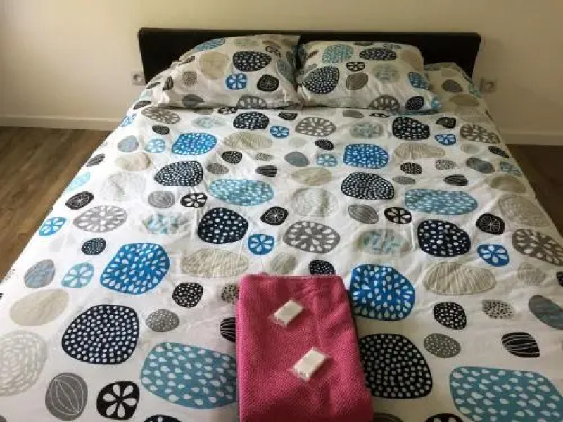 Maison neuve au pied des vignes