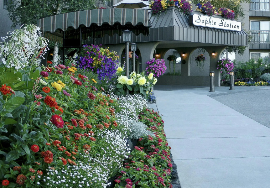 Sophie Station Suites