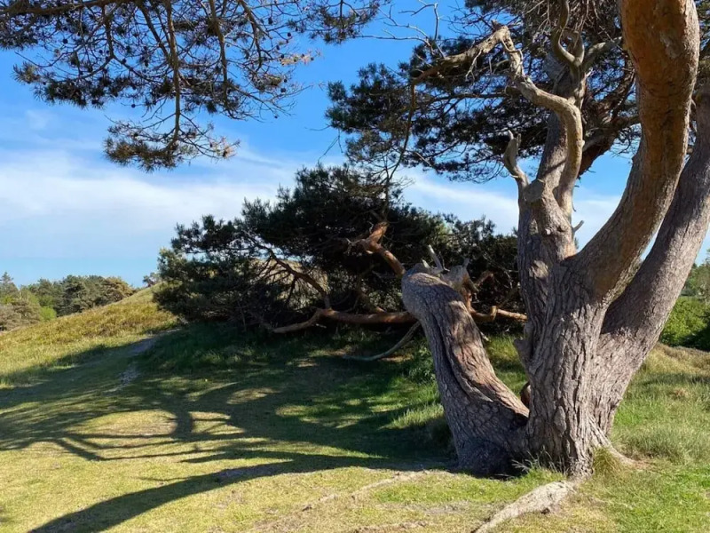 Luxury Villa With Pool - By Traum Ferienwohnungen