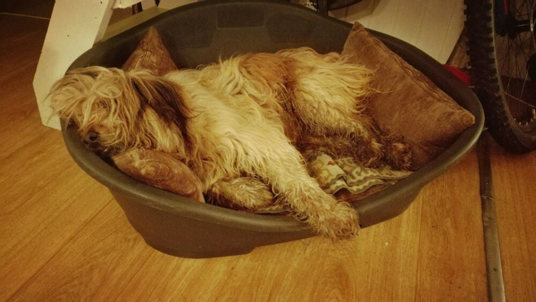 Beautiful Chalet Next to Forest Nature Preserve