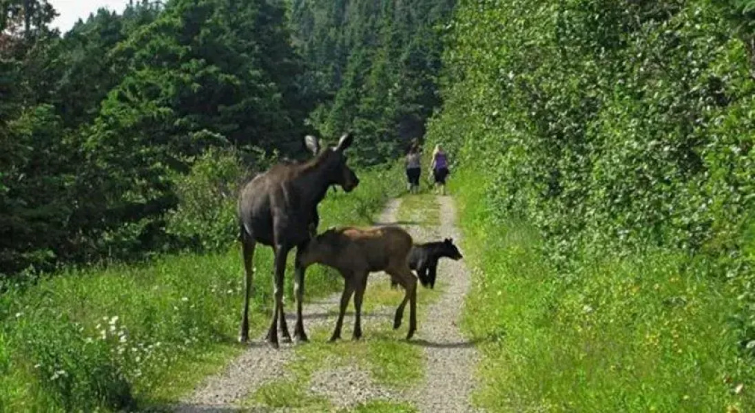 Gite au Pied du Phare