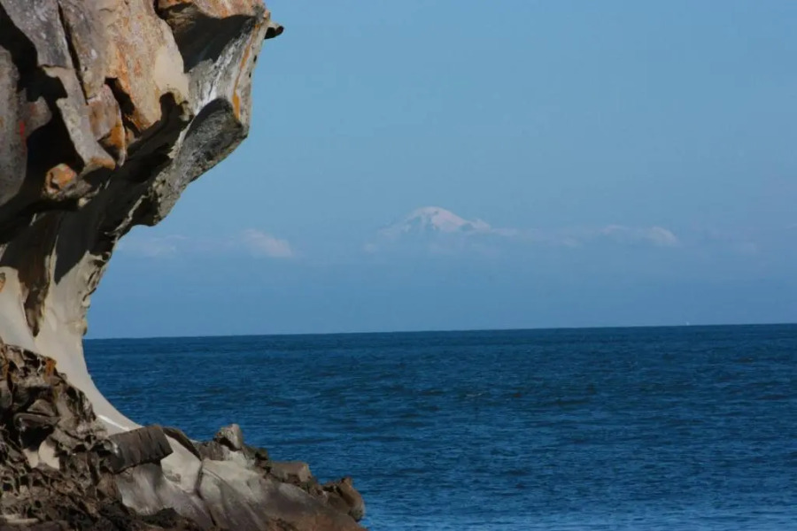 Sticks and Stones Cottage-Arbutus Grove