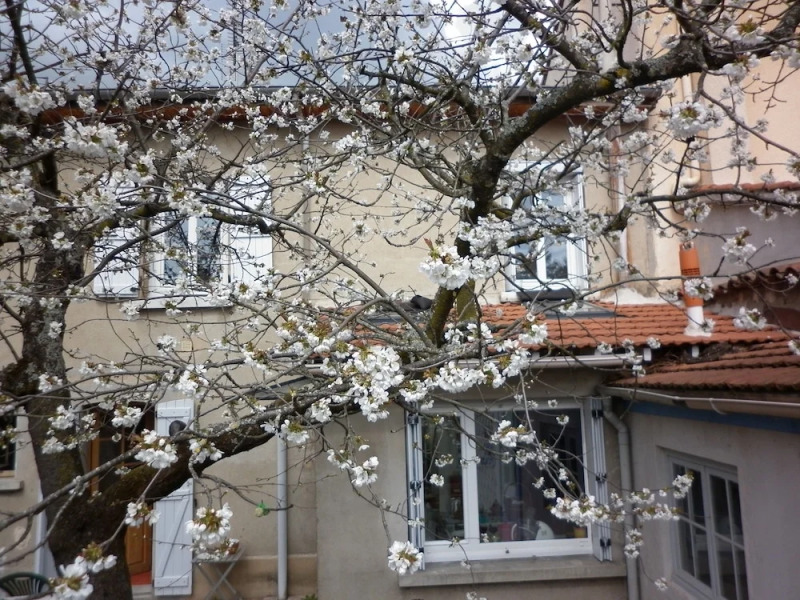 Chambre d'hôtes Le Cerisier