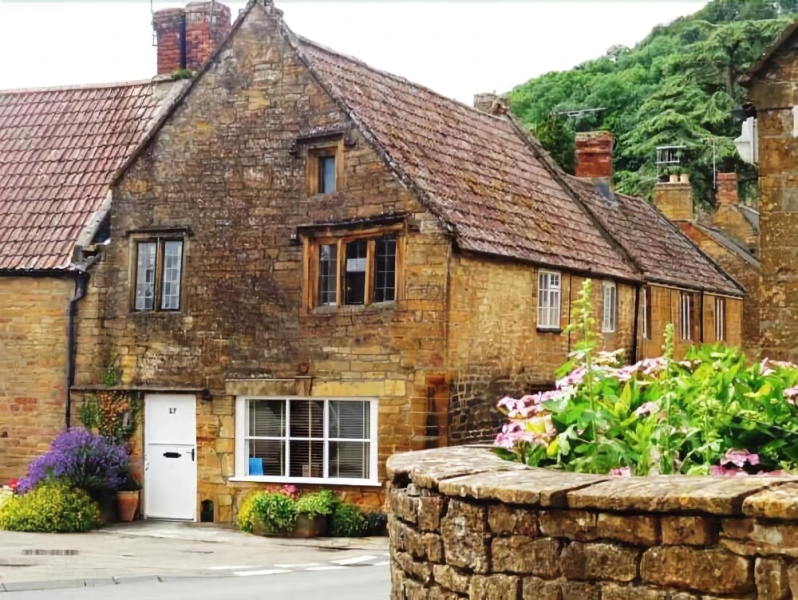 The Tudor Rose