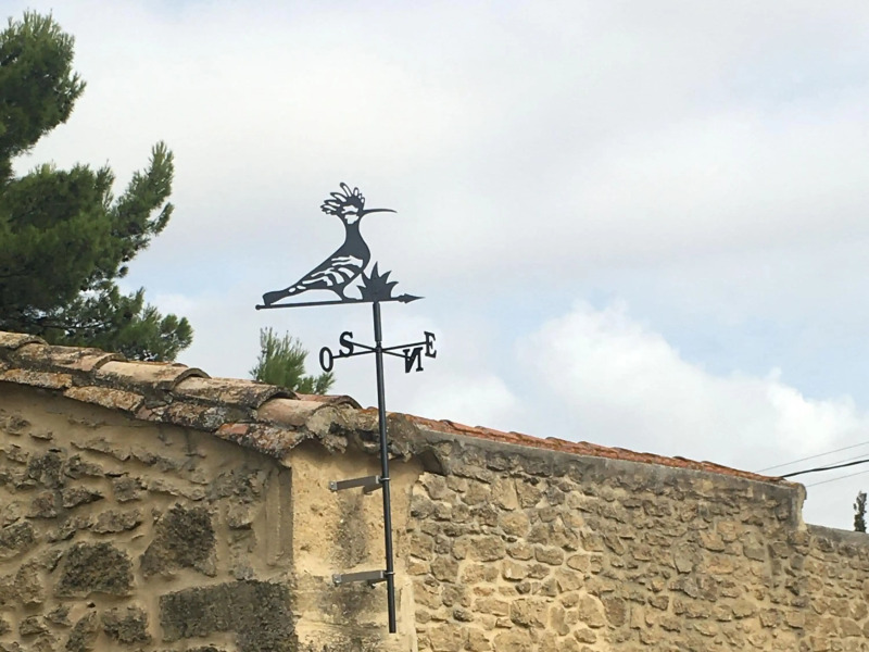 Beautiful holiday home with enclosed, private swimming pool near the village of Aubais.