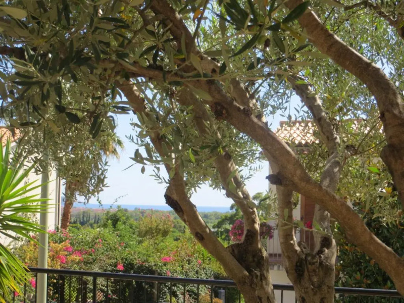 Tusitala - Rooms & Suite