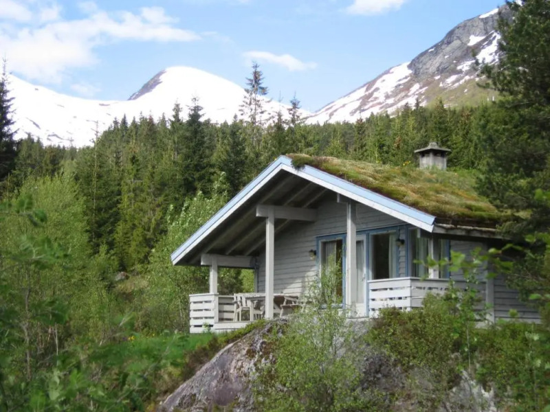 Jølsterlia Hyttetun