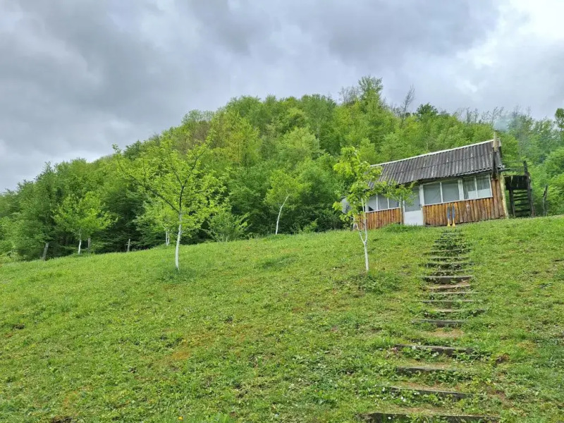 Country house Tara Orasac