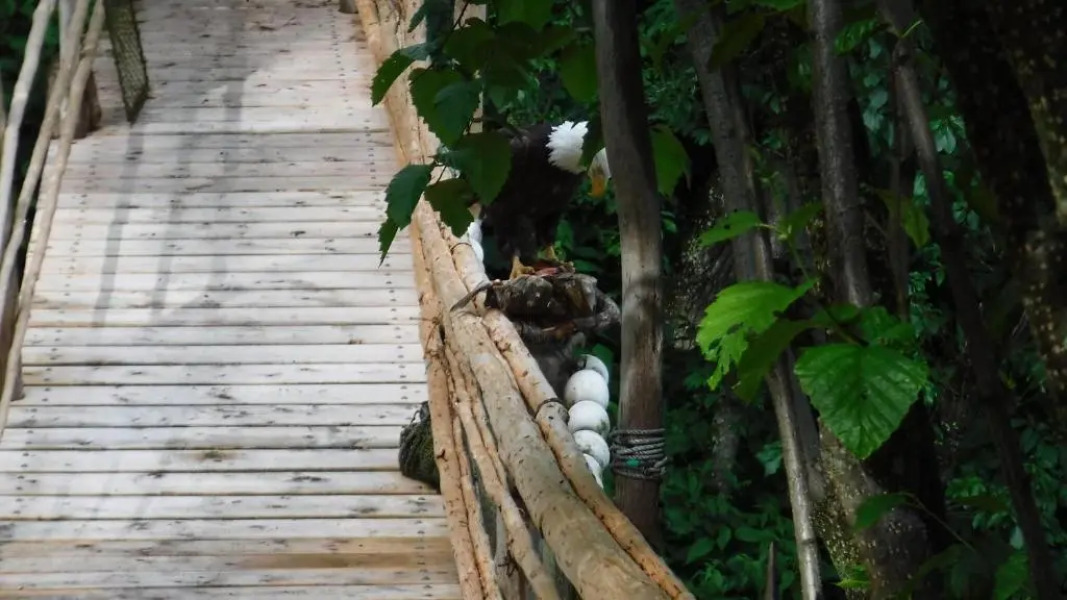 Brigitte's Bavarian Bed und Breakfast