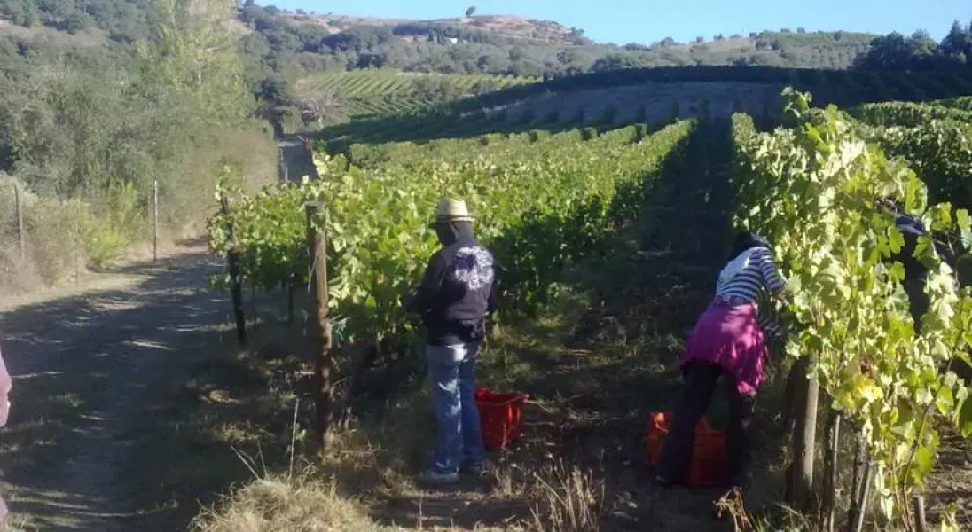 Castello di Ripa dOrcia