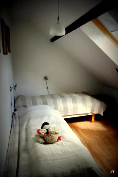 Stutteri Skandihest Apartments