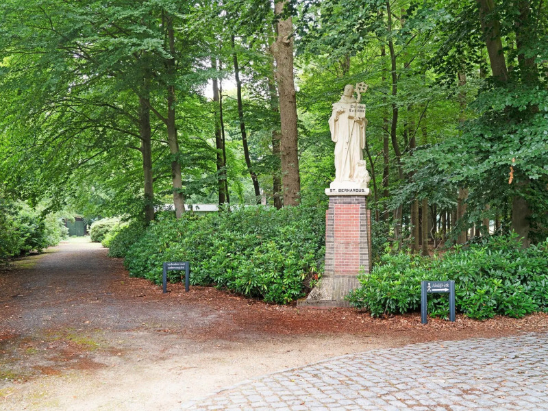 Scenic Holiday Home in Schijf with Roofed Garden