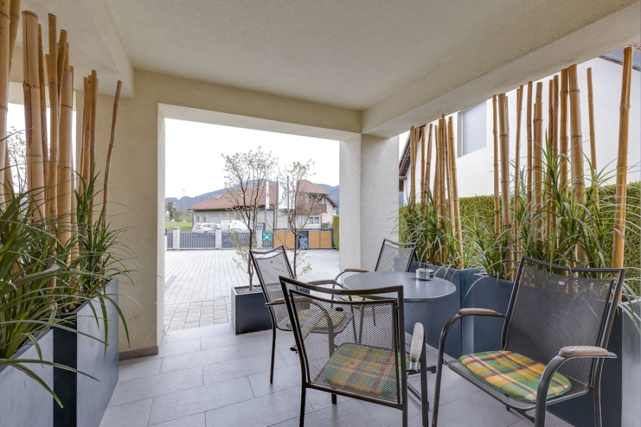 Wellness Suite Daisy